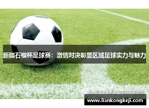 新疆石榴杯足球赛：激情对决彰显区域足球实力与魅力